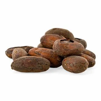 amaziashop-berlin (149) Raw Cacao Beans Organic