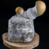 MycoBag Whitebilly