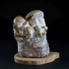 MycoBag Whitebilly