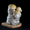 MycoBag Whitebilly