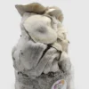 MycoBag Whitebilly