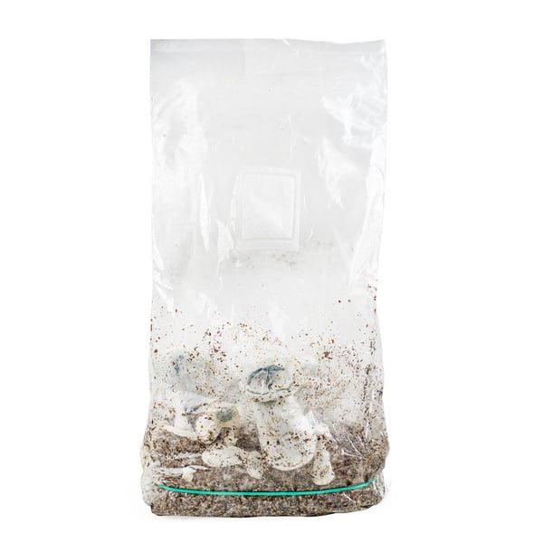 amaziashop-berlin (24) Amazia Ready-2-Grow Bag APE