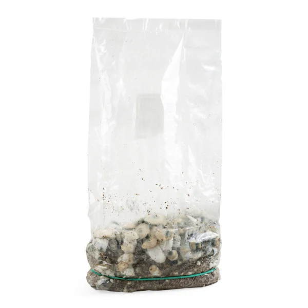 amaziashop-berlin (52) Amazia Ready-2-Grow Bag Bluey Vuitton