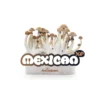 amaziashop-berlin (55) Fresh Mushrooms Grow Kit Mexican