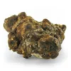 Hollandia Magic Truffles