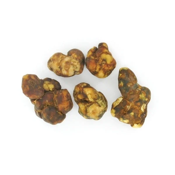 amaziashop-berlin (80) Atlantis Magic Truffles