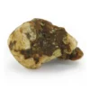 amaziashop-berlin (82) Atlantis Magic Truffles