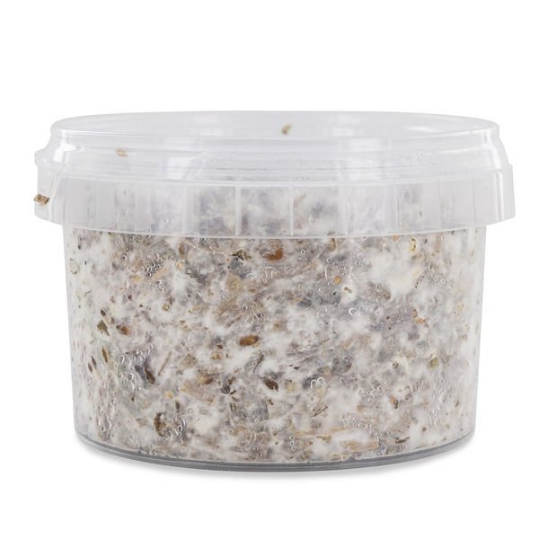 amaziashop-berlin. (2) Magic Mushroom Grow Kit Azurescens