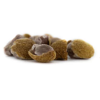 Hawaiian Baby Woodrose Madagascar (Argyreia nervosa) 10 seeds