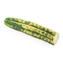 amaziashop-berlin (16) San Pedro Variegated (Echinopsis pachanoi variegata) Buenavista