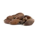 Ephedra viridis Seeds